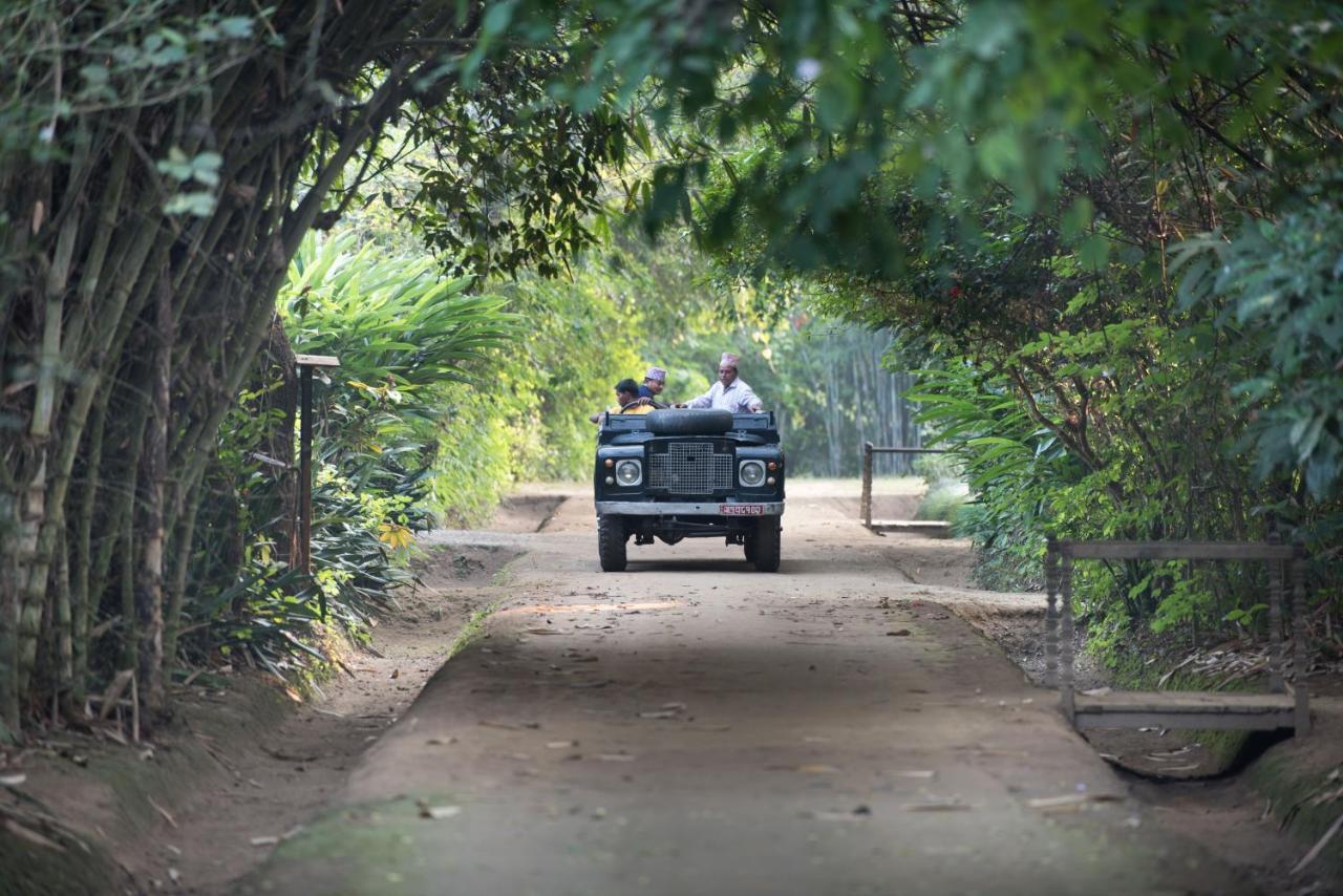 Tiger Tops Tharu Lodge Chitwan Eksteriør bilde