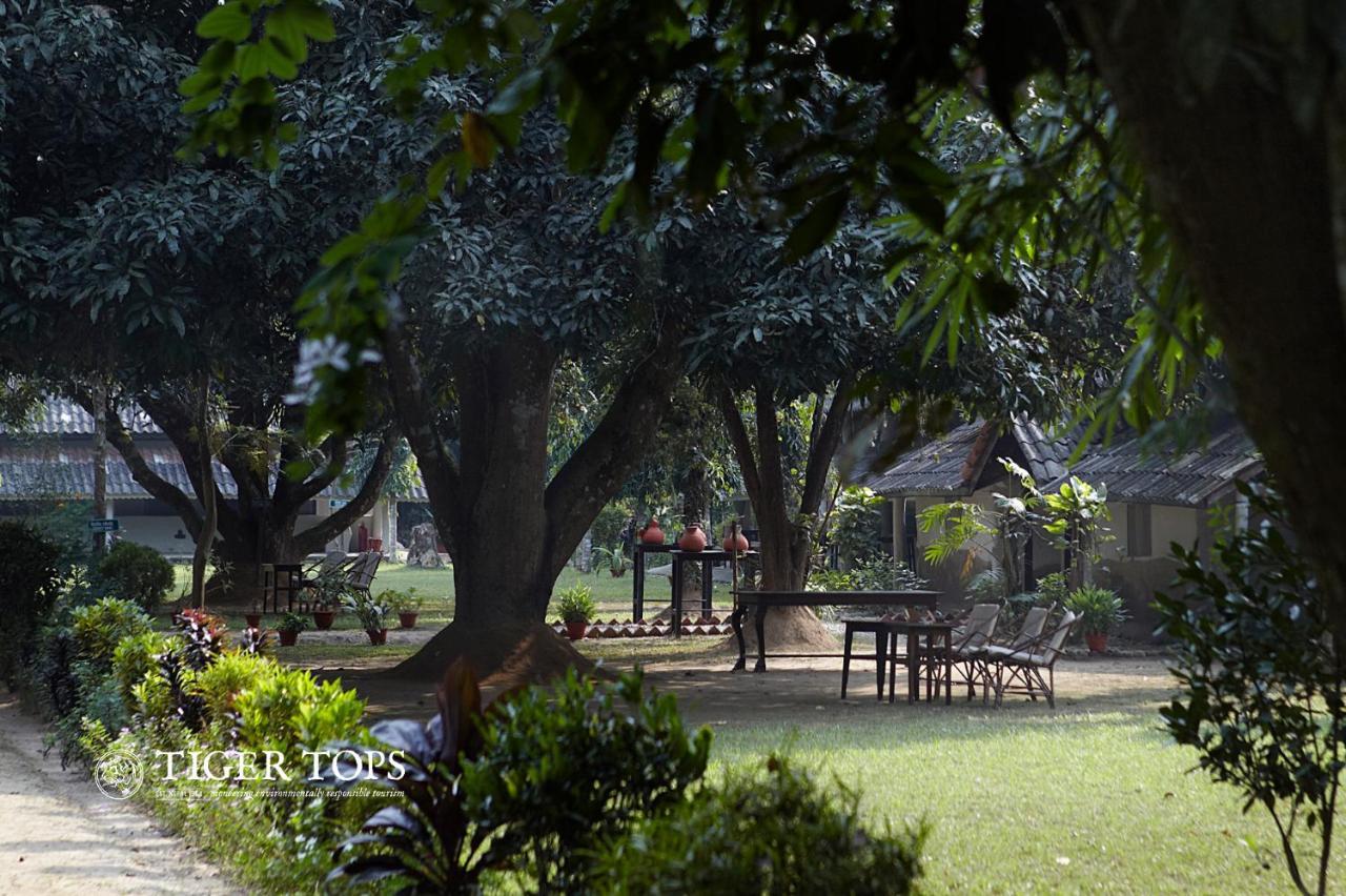 Tiger Tops Tharu Lodge Chitwan Eksteriør bilde