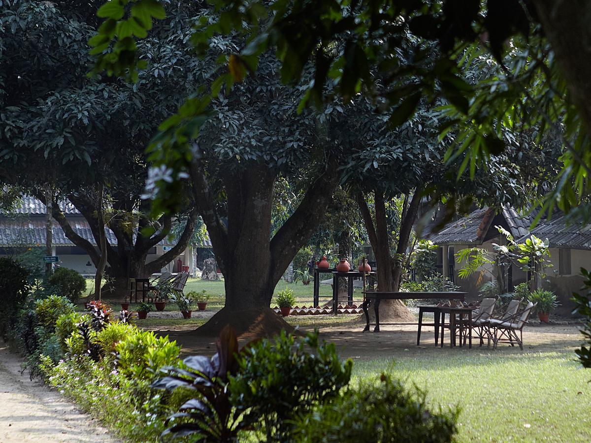 Tiger Tops Tharu Lodge Chitwan Eksteriør bilde