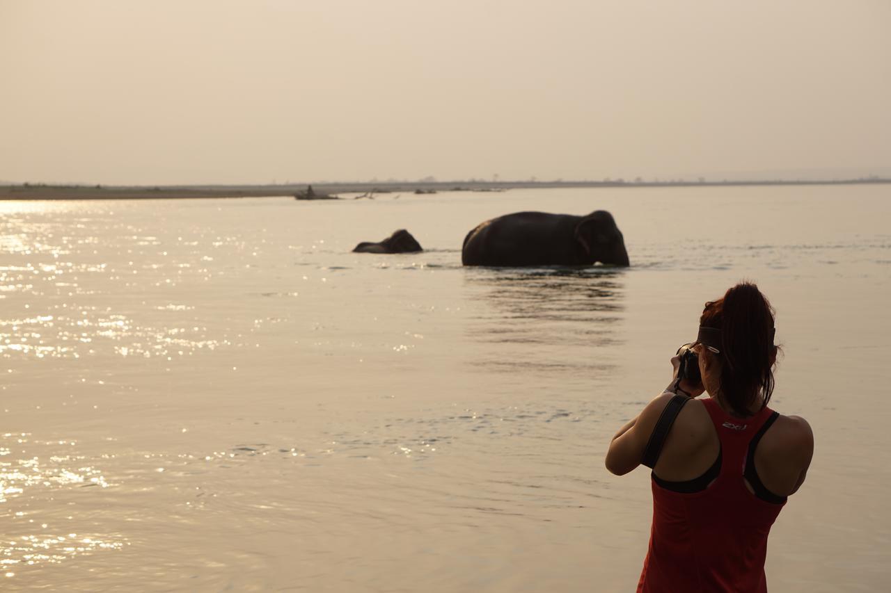 Tiger Tops Tharu Lodge Chitwan Eksteriør bilde
