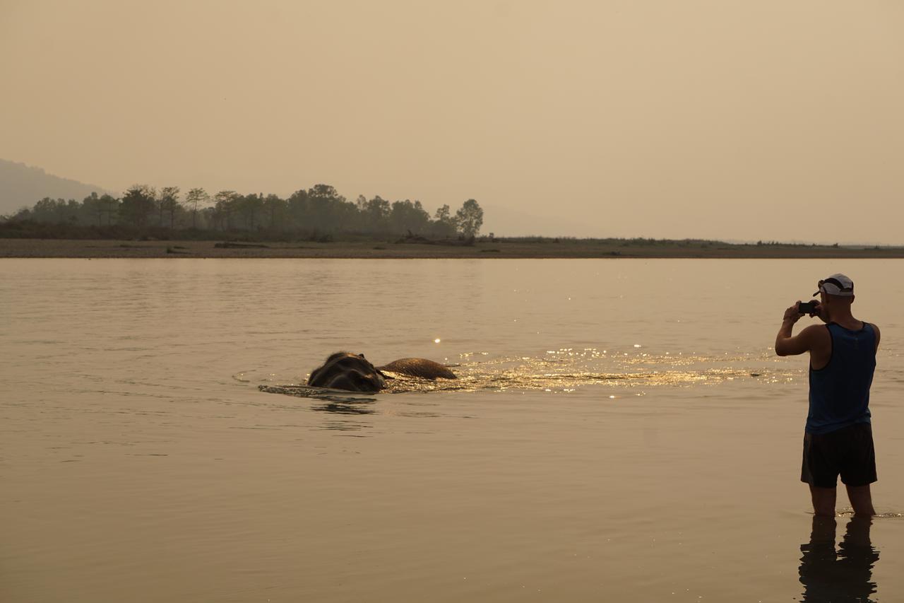 Tiger Tops Tharu Lodge Chitwan Eksteriør bilde