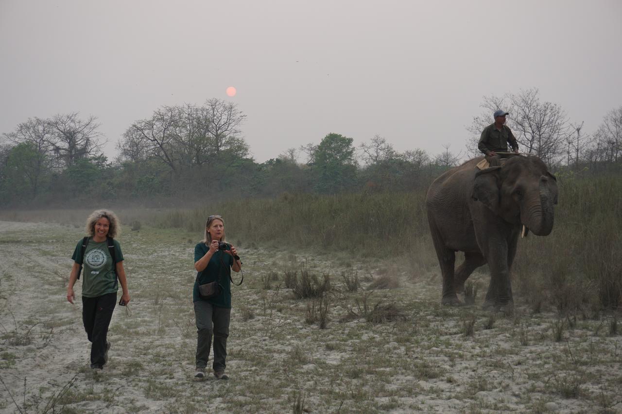 Tiger Tops Tharu Lodge Chitwan Eksteriør bilde