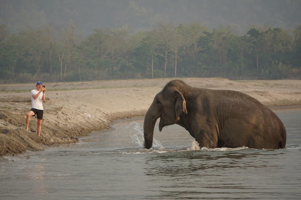 Tiger Tops Tharu Lodge Chitwan Eksteriør bilde